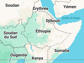 Une histoire de la violence