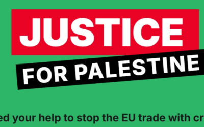 Iniciativa Ciudadana Europea: