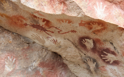 Non, l’humain n’est pas naturellement violent