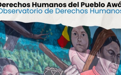 Documentar y acompañar para proteger: estrategias de solidaridad internacional en Colombia