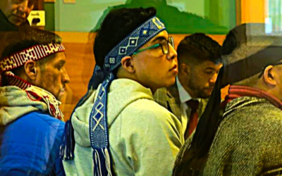 «Como movimiento mapuche, resistimos para seguir existiendo»